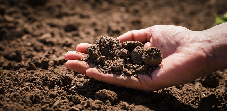 جنس خاک در خرید زمین کشاورزی